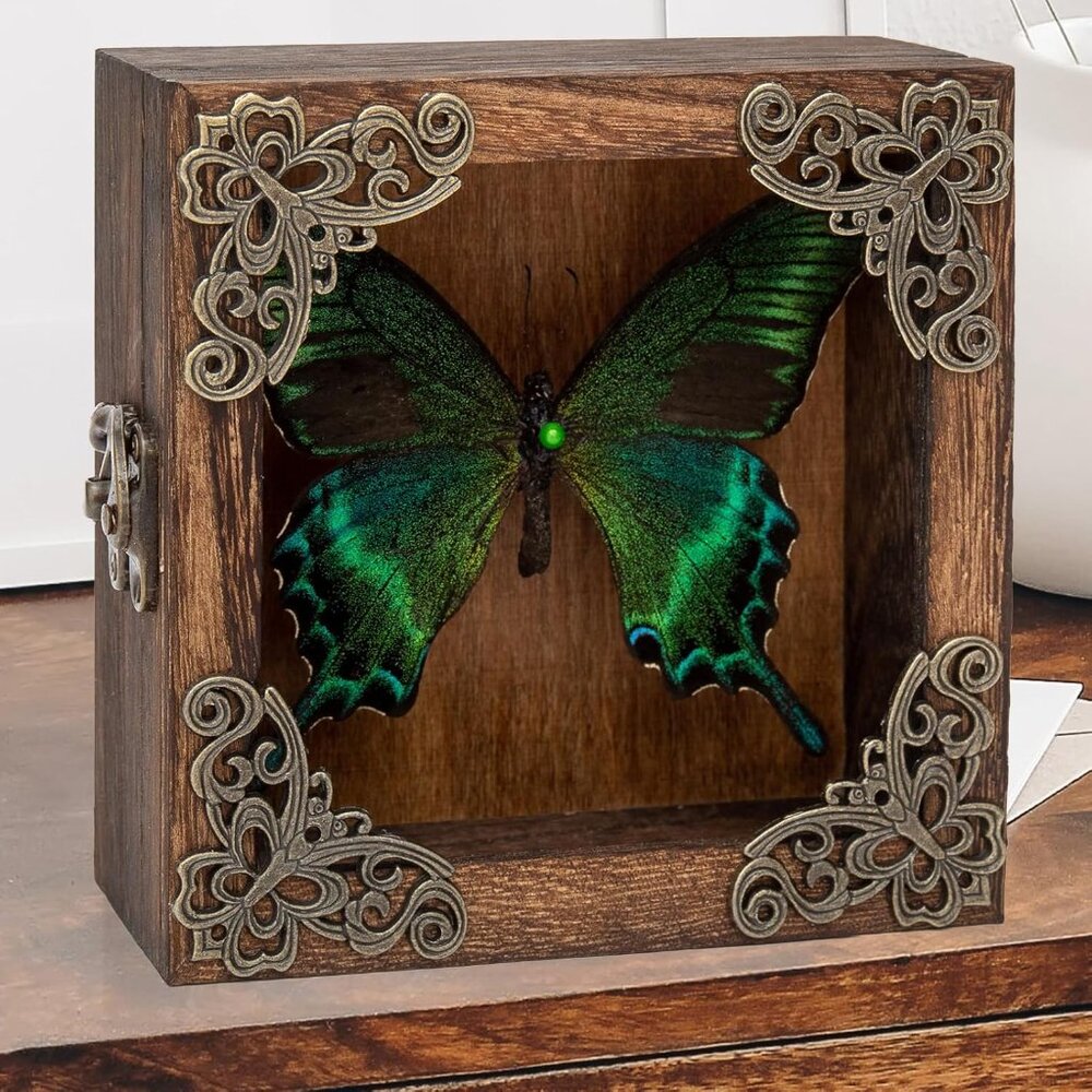 Butterfly Shadow Box Picture Frame